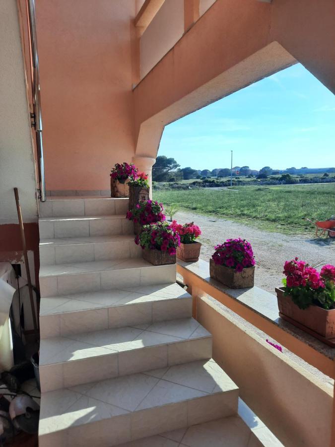 Apartament Penzion U Kapitana Vir Zewnętrze zdjęcie
